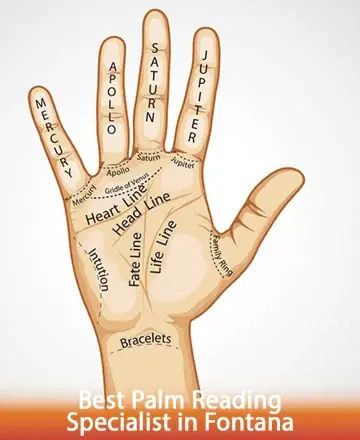 Discover the gentle wisdom and calming guidance found in the lines of your hand, a map to your inner journey. Let each path reveal stories of love, destiny, and purpose, guiding you with clarity and peace. Best palm reading specialist in Fontana.