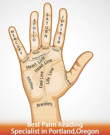 Discover the gentle wisdom held within your palm, where each line whispers stories of your heart, mind, and spirit. Embrace this journey of self-discovery and inner peace, guided by the ancient art of palmistry. Palm reading in Portland, Oregon.