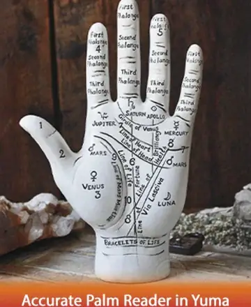 In the gentle embrace of wisdom, this serene image invites you to explore the timeless art of palmistry. The intricate lines and symbols whisper secrets of the soul, offering guidance and peace. Discover the path to inner harmony with an accurate palm reader in Yuma.