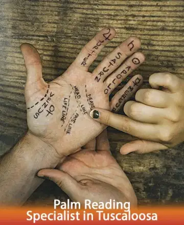 In the gentle embrace of wise hands, a journey unfolds across the map of your palm, revealing stories of love, courage, and destiny. This serene moment whispers the ancient secrets of your soul, guiding you with warmth and understanding. Palm reading specialist in Tuscaloosa.