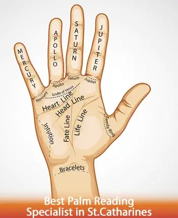 Discover the gentle wisdom held within your palm, a map of destiny and emotion. Each line whispers tales of love, life, and purpose. Trust in the warmth of understanding and guidance. Palm reading specialist in St. Catharines.