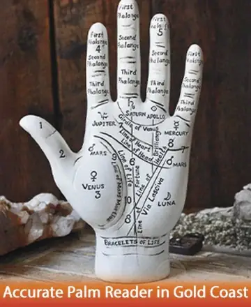 This serene image of a detailed, handcrafted palm sculpture invites you to explore the gentle art of palmistry. Surrounded by calming natural elements, it reflects a journey into self-discovery and wisdom, offering insights into life's path. Accurate palm reader in Gold Coast.